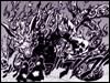 nibi (2 tail) naruto demons