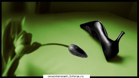 :zzz:  :zzz:  :zzz: grafica pe